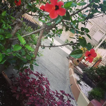 Anto's - * Giardini Naxos